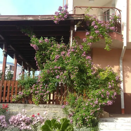 Hotell Lazur 2*