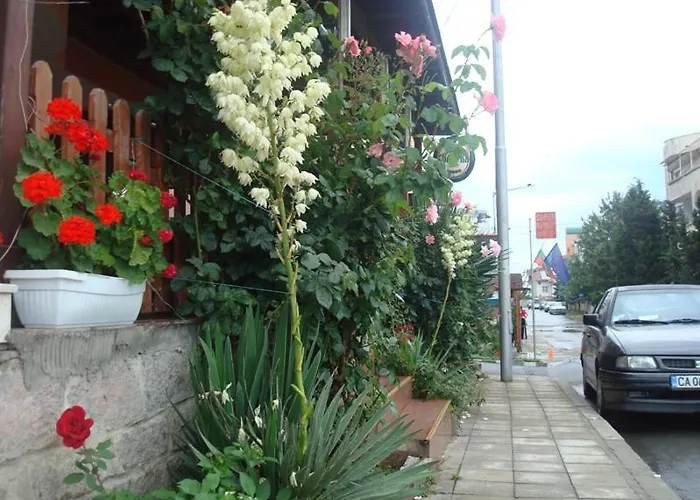 Lazur فندق رافدا